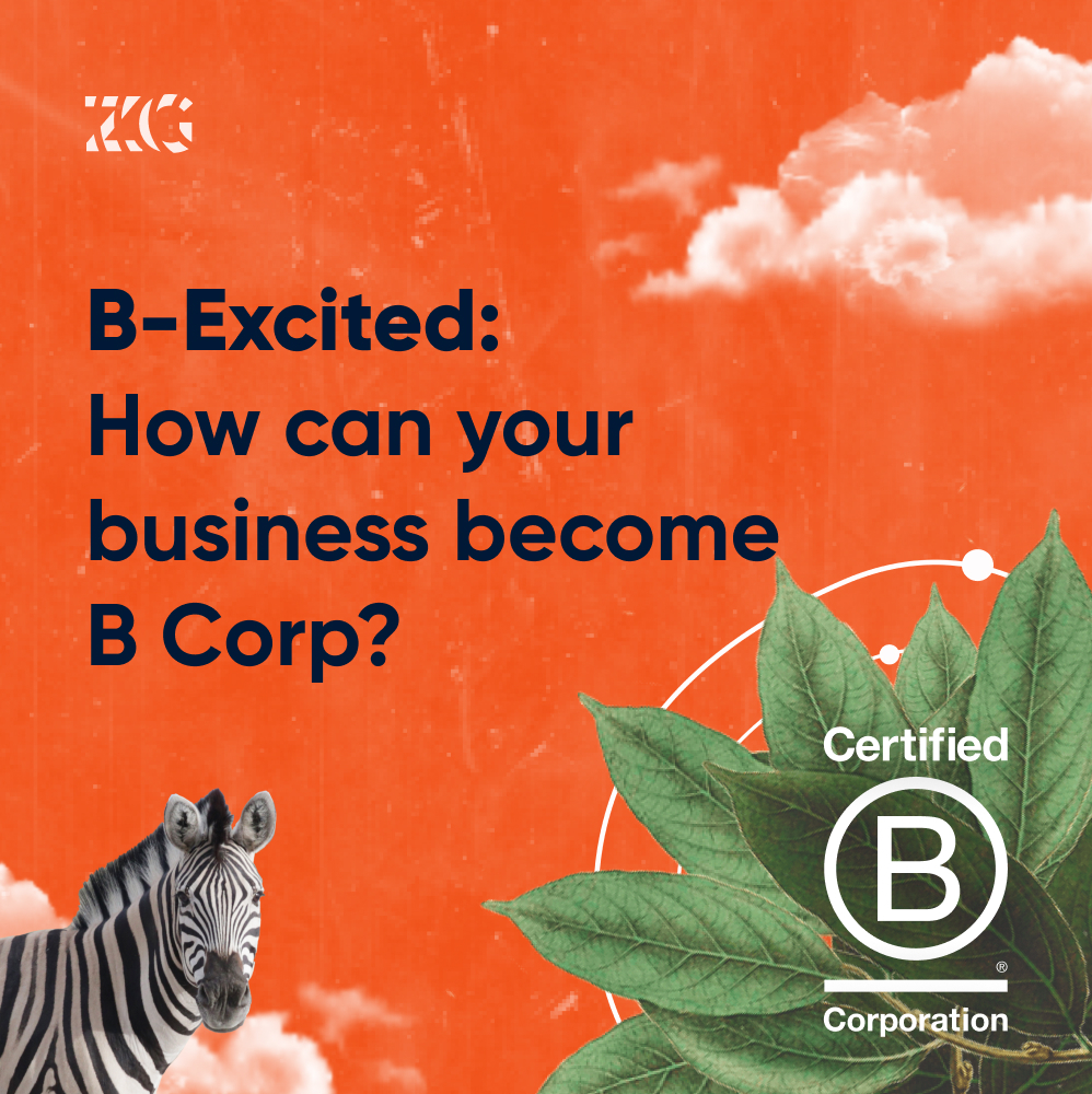 B-Excited: How can your business become B Corp?